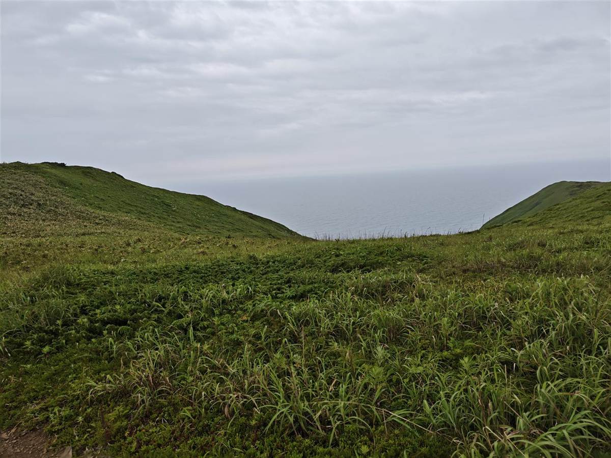 草原の先に海が見える礼文島の稜線