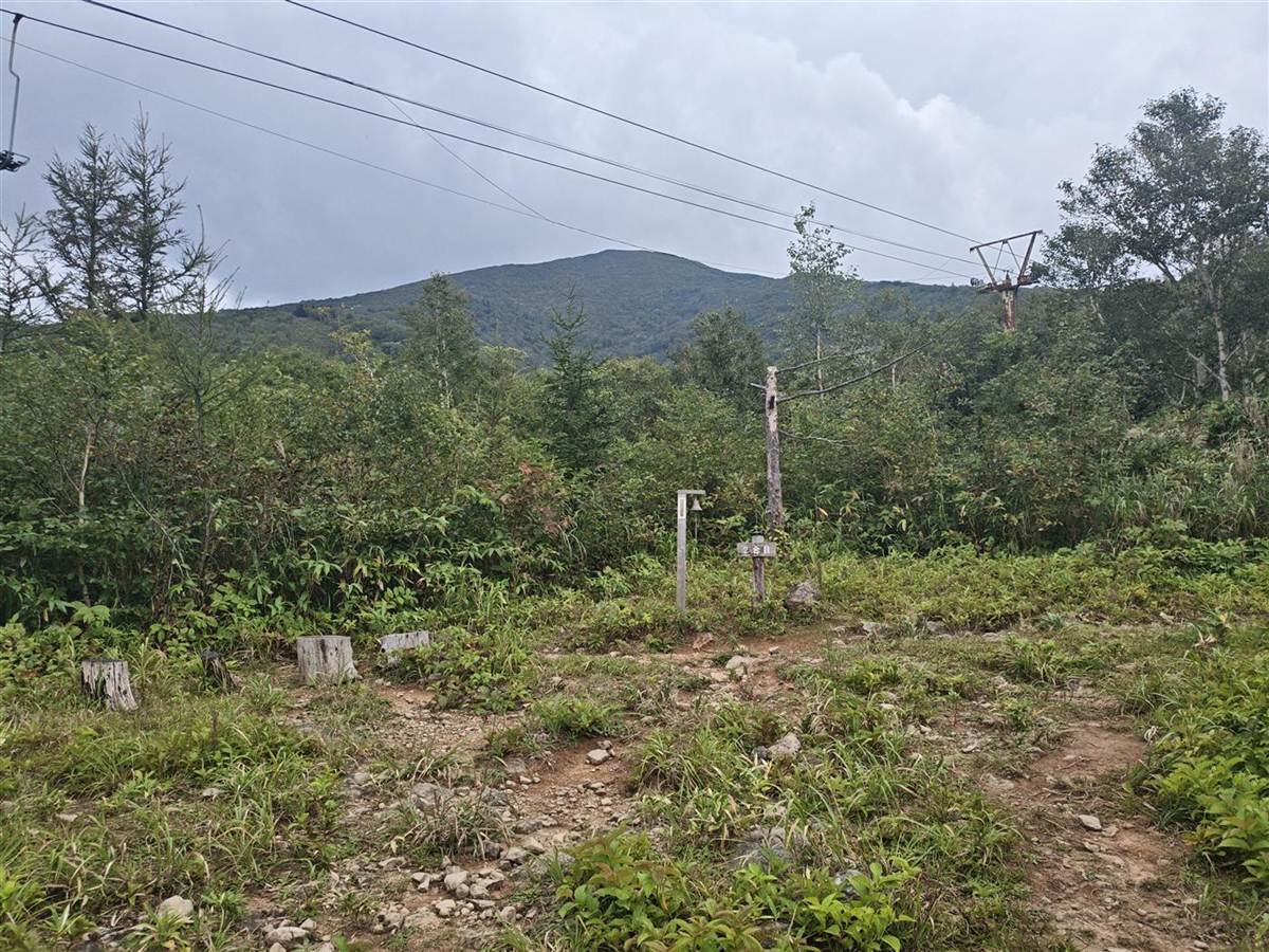 登山道の途中に残るリフトの支柱