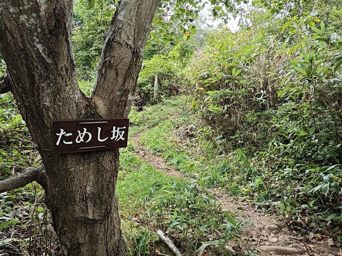 「ためし坂」の標識